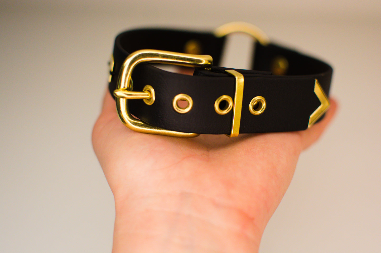 Veganes BDSM Halsband Aaron von Frivol Sextilien